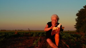 02-FILBA-Diana-Bellessi