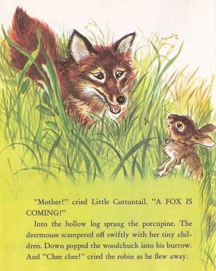 93ce310646b6f1817d9fb2c190ca25f6--rabbits-nostalgia